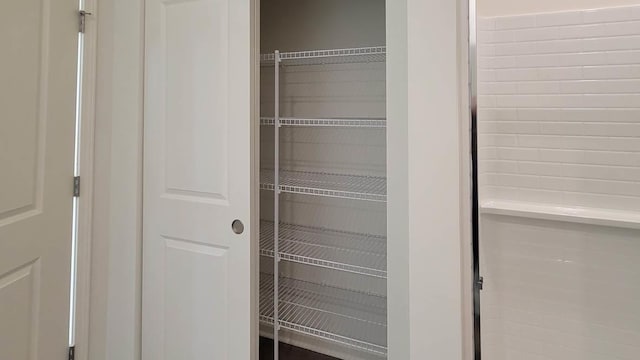 6475 Juniper Dr, Wonder Lake, IL 60097 - view of closet