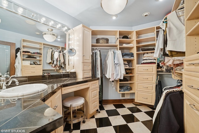 691 Lake Ave, Crystal Lake, IL 60014 - spacious closet featuring a sink and light floors