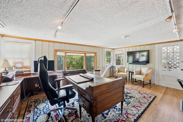 691 Lake Ave, Crystal Lake, IL 60014 - office area with rail lighting, ornamental molding, a textured ceiling, and light wood-style floors