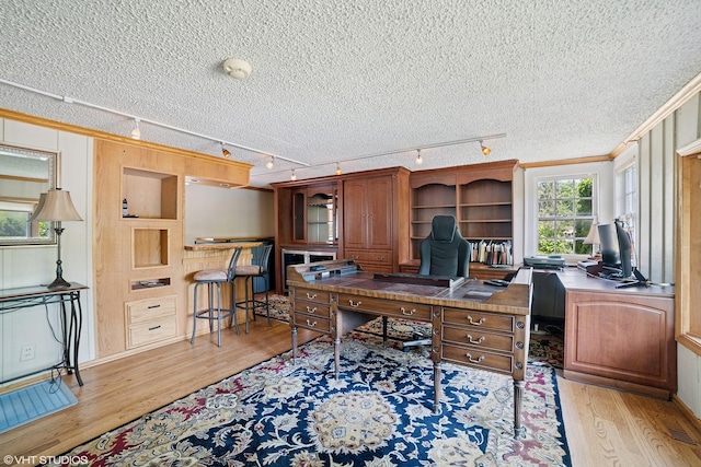 691 Lake Ave, Crystal Lake, IL 60014 - office space featuring track lighting, light wood-style flooring, a textured ceiling, and crown molding