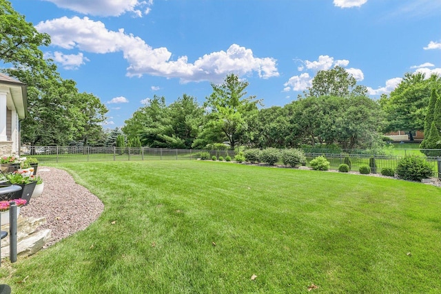 1311 Hickory Tree Ct, Mahomet, IL 61853 - view of fenced backyard