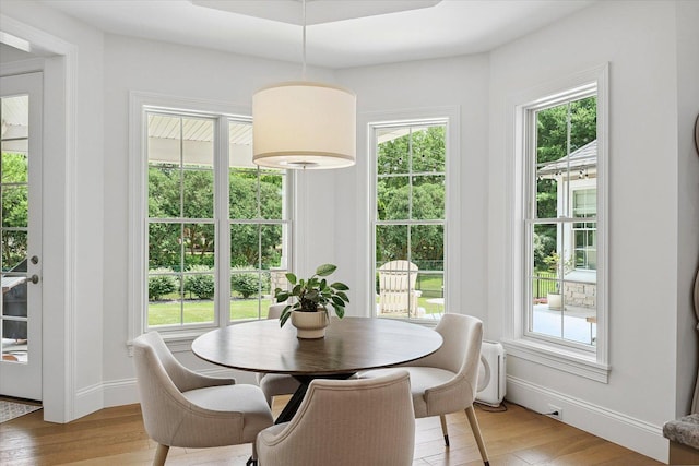 1311 Hickory Tree Ct, Mahomet, IL 61853 - dining area featuring light wood-type flooring