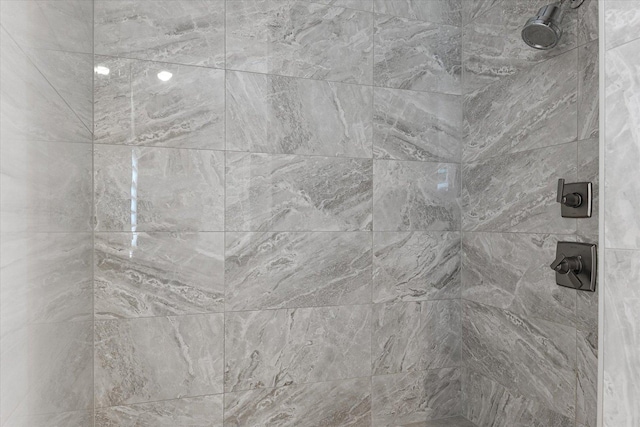 1311 Hickory Tree Ct, Mahomet, IL 61853 - bathroom view of a tile shower