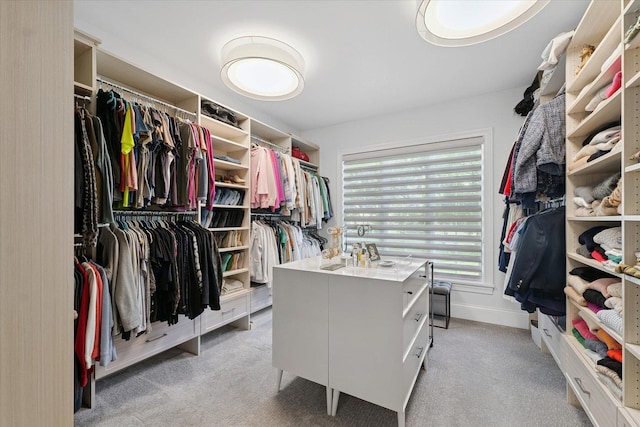 1311 Hickory Tree Ct, Mahomet, IL 61853 - spacious closet with light carpet