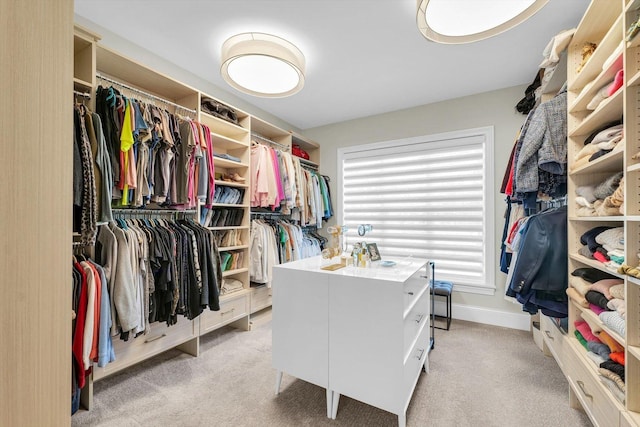 1311 Hickory Tree Ct, Mahomet, IL 61853 - spacious closet featuring light carpet