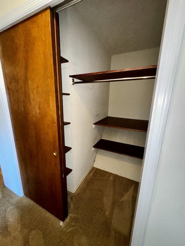 400 N Cottage Ave, Normal, IL 61761 - view of closet