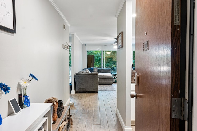 1811 Four Lakes Ave Unit 1H, Lisle, IL 60532 - corridor featuring light wood-style floors and crown molding