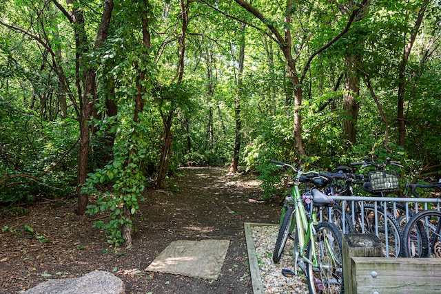 1811 Four Lakes Ave Unit 1H, Lisle, IL 60532 - view of yard with a wooded view
