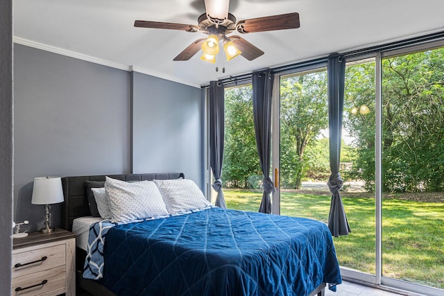 1811 Four Lakes Ave Unit 1H, Lisle, IL 60532 - bedroom with ornamental molding and ceiling fan