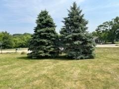 704 Russell Ct, Heyworth, IL 61745 - photo 5