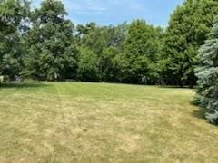 704 Russell Ct, Heyworth, IL 61745 - photo 6