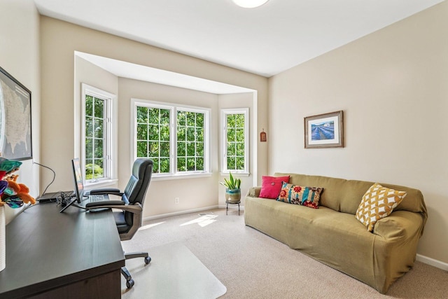 2524 Wild Timothy Rd, Naperville, IL 60564 - carpeted home office featuring baseboards