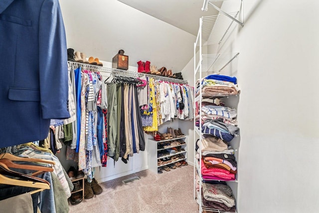 2524 Wild Timothy Rd, Naperville, IL 60564 - spacious closet with carpet flooring