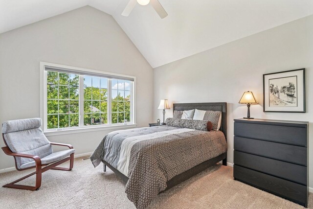 2524 Wild Timothy Rd, Naperville, IL 60564 - photo 39