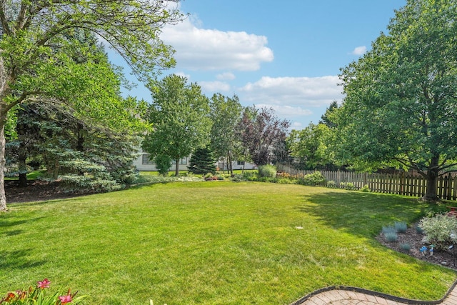 2524 Wild Timothy Rd, Naperville, IL 60564 - view of yard