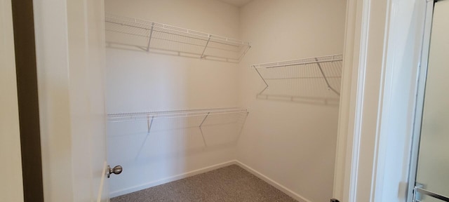 6473 Juniper Dr, Wonder Lake, IL 60097 - spacious closet featuring carpet