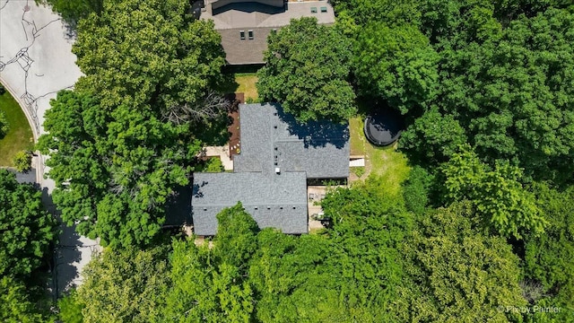 1138 Pine Ct, Batavia, IL 60510 - photo 32