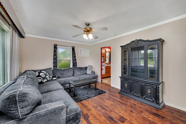 341 N Center St, Braidwood, IL 60408 - living area featuring a ceiling fan, dark wood-style flooring, and crown molding