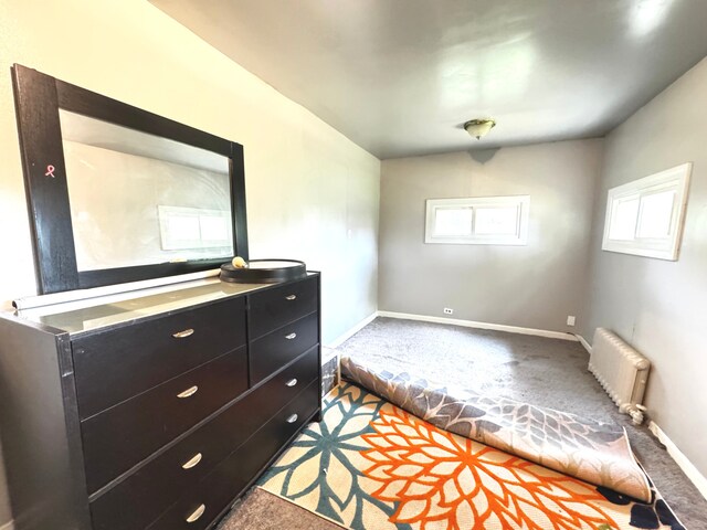 10007 S Hoxie Ave, Chicago, IL 60617 - carpeted bedroom featuring radiator heating unit and baseboards