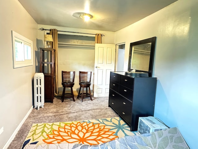 10007 S Hoxie Ave, Chicago, IL 60617 - bedroom featuring radiator and light colored carpet
