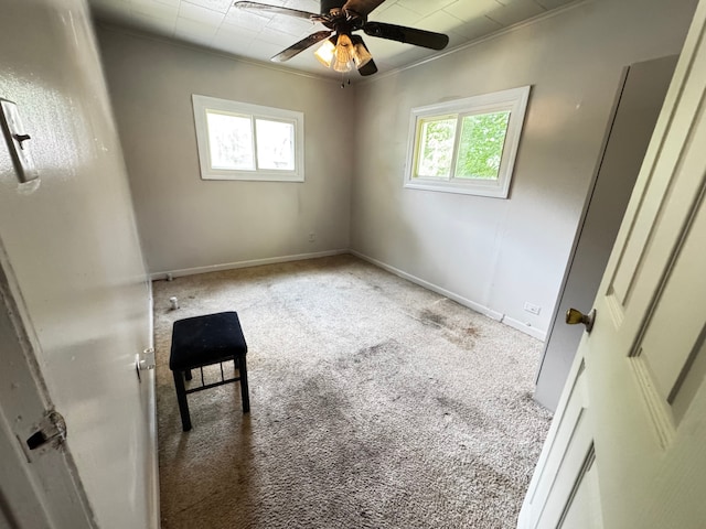 10007 S Hoxie Ave, Chicago, IL 60617 - empty room featuring healthy amount of natural light, carpet floors, a ceiling fan, and crown molding