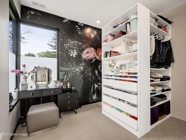 849 Cramer Ct, Willowbrook, IL 60527 - spacious closet featuring carpet flooring