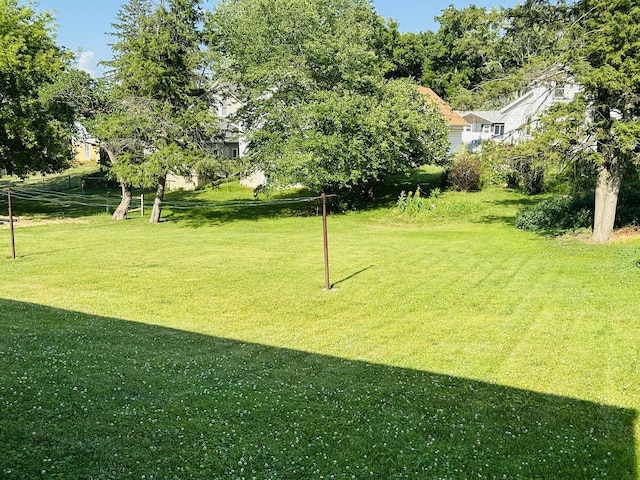119 N Park Blvd, Freeport, IL 61032 - view of green lawn