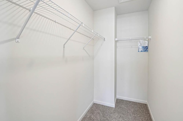6339 Ulster Dr, Tinley Park, IL 60477 - walk in closet with carpet flooring
