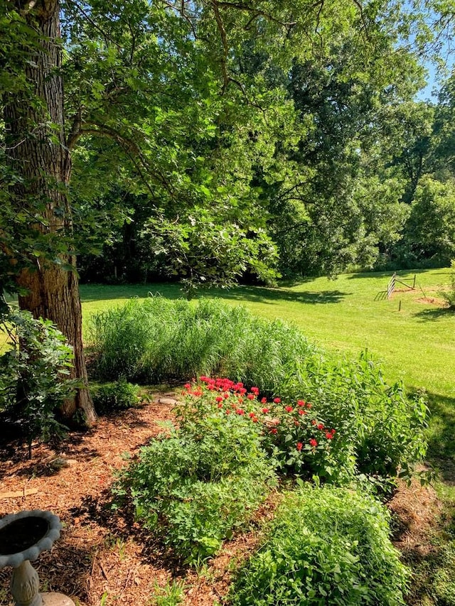 20798 White Oaks Rd, Morrison, IL 61270 - view of green lawn
