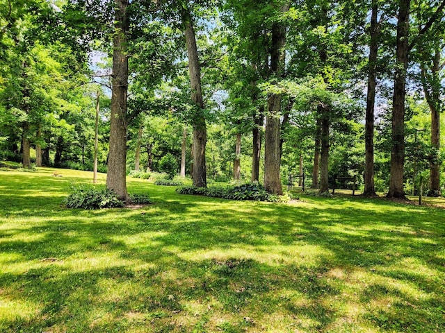 20798 White Oaks Rd, Morrison, IL 61270 - view of green lawn
