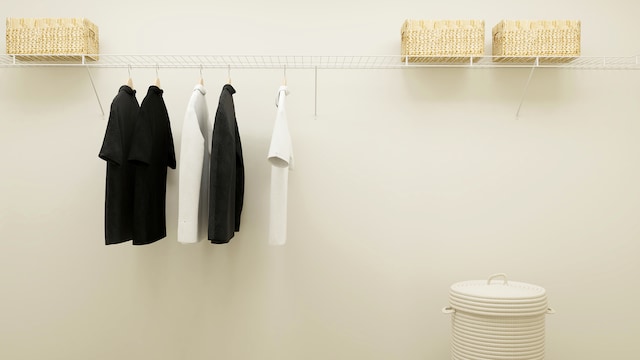 607 Wexford Dr, Elgin, IL 60124 - view of walk in closet