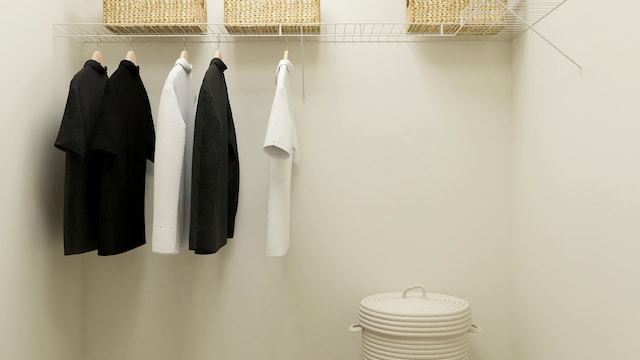 607 Wexford Dr, Elgin, IL 60124 - view of walk in closet