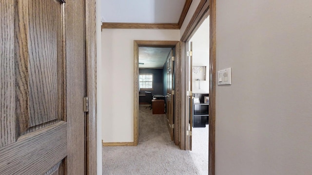 17 Park Dr, Villa Grove, IL 61956 - hallway featuring carpet floors and ornamental molding