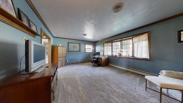 17 Park Dr, Villa Grove, IL 61956 - office area with crown molding, a baseboard heating unit, and carpet floors