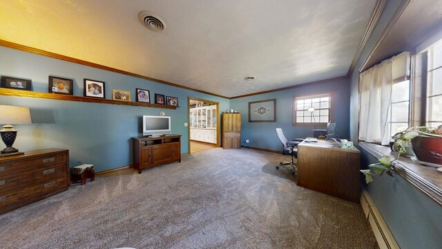 17 Park Dr, Villa Grove, IL 61956 - home office featuring carpet and crown molding