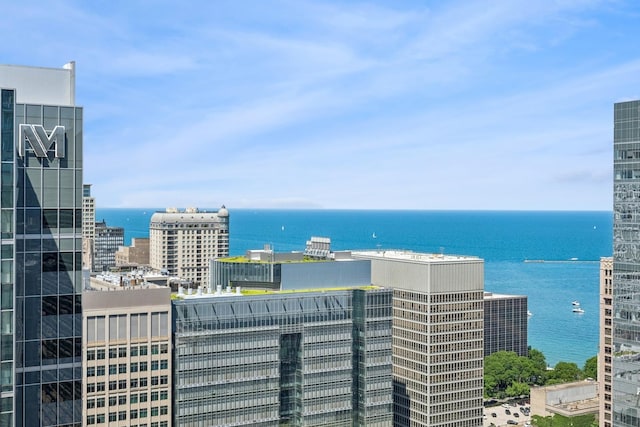 600 N Fairbanks Ct Unit 3304, Chicago, IL 60611 - water view with nearby urban area