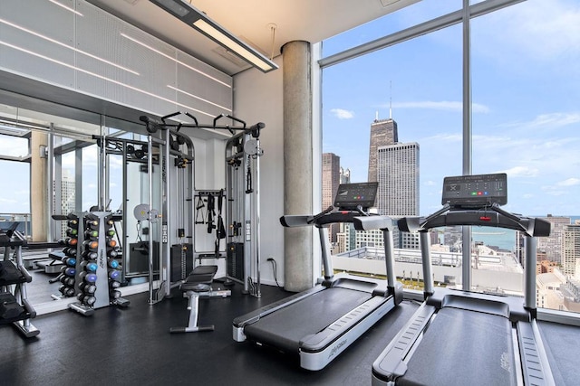 600 N Fairbanks Ct Unit 3304, Chicago, IL 60611 - exercise room featuring a view of city and a wall of windows