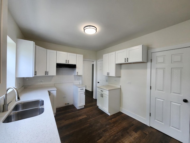12416 S Carpenter St, Calumet Park, IL 60827 - kitchen featuring under cabinet range hood, dark wood-type flooring, white cabinetry, and decorative backsplash