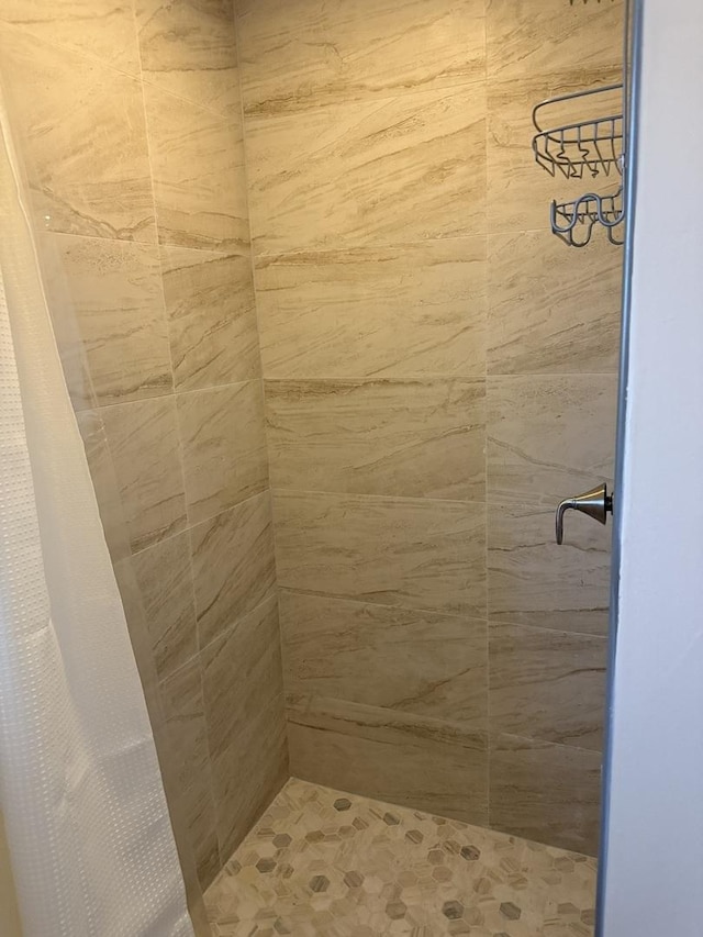 835 Williams Ct, Schaumburg, IL 60193 - bathroom featuring tiled shower