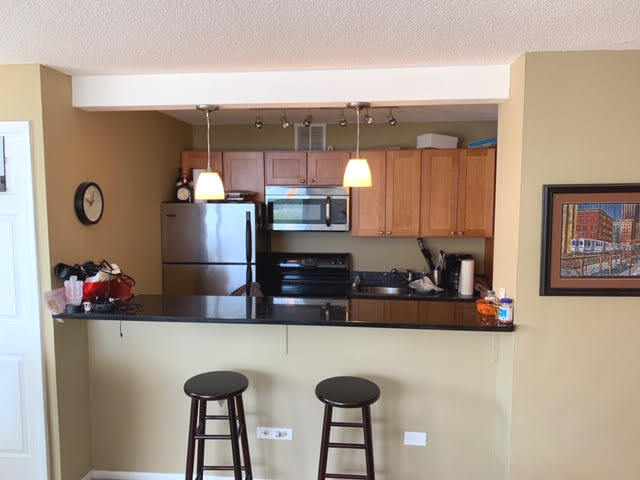 3110 N Sheridan Rd Unit 1802, Chicago, IL 60657 - photo 7