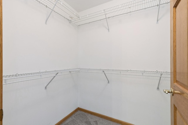 10509 San Luis Ln, Orland Park, IL 60467 - spacious closet with carpet flooring