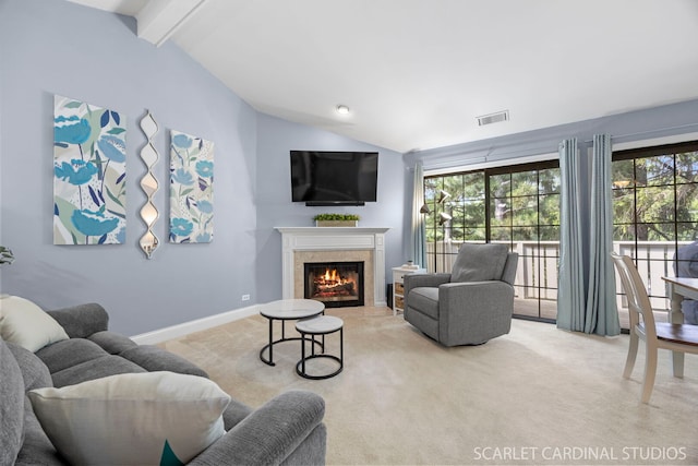 1675 Grosvenor Cir Unit D, Wheaton, IL 60189 - living room with carpet floors, a fireplace, and plenty of natural light