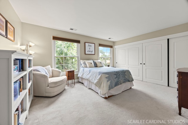 1675 Grosvenor Cir Unit D, Wheaton, IL 60189 - bedroom with light colored carpet and a closet