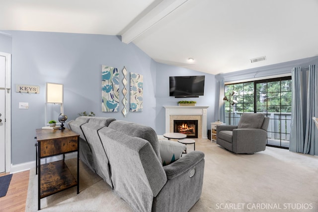 1675 Grosvenor Cir Unit D, Wheaton, IL 60189 - living area with a lit fireplace