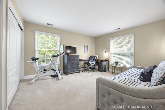 1675 Grosvenor Cir Unit D, Wheaton, IL 60189 - carpeted office space featuring plenty of natural light