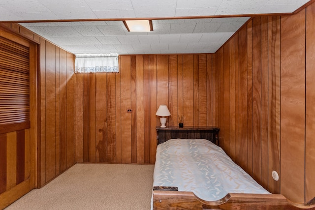 5128 Suffield Ct, Skokie, IL 60077 - bedroom with wood walls and carpet