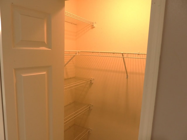 1010 Trillium Ln, Bartlett, IL 60103 - view of spacious closet