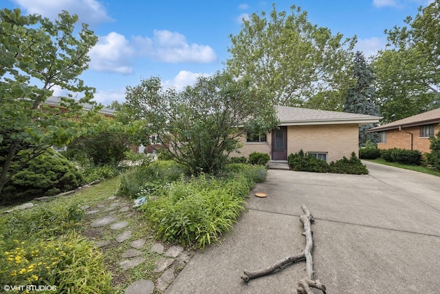 2555 Stratford Ave, Westchester, IL 60154 - view of front facade with brick siding