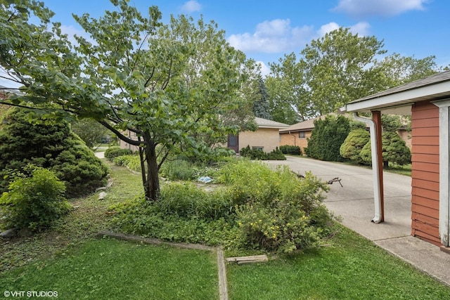 2555 Stratford Ave, Westchester, IL 60154 - view of yard