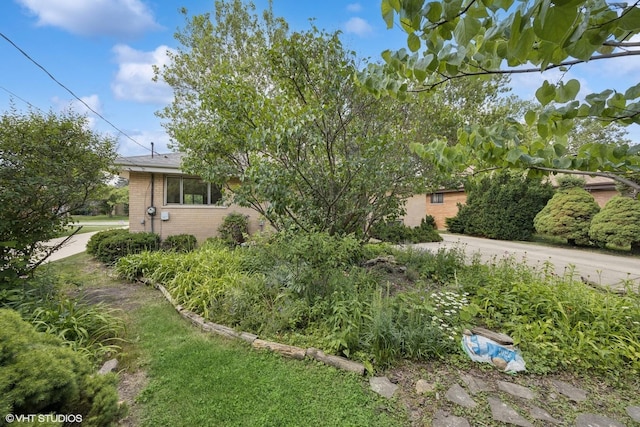 2555 Stratford Ave, Westchester, IL 60154 - view of home's exterior featuring brick siding